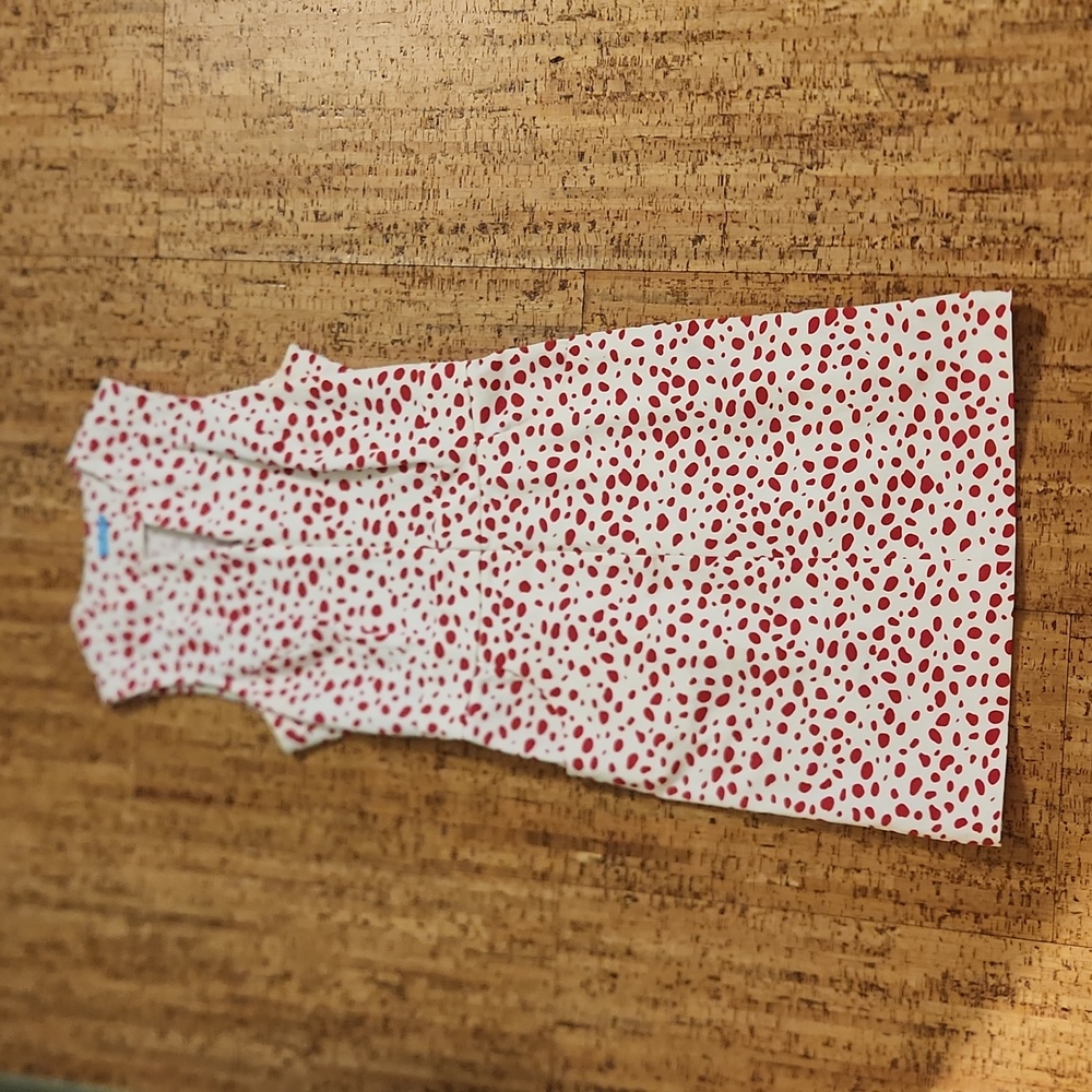 J. McLaughlin spring dress, 4